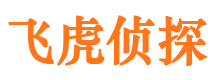 台前市婚姻调查